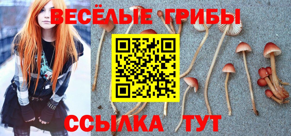 Галлюциногенные грибы Cubensis Новокуйбышевск