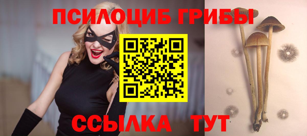 Новокуйбышевск  Галлюциногенные грибы GOLDEN TEACHER  Вход с VPN 